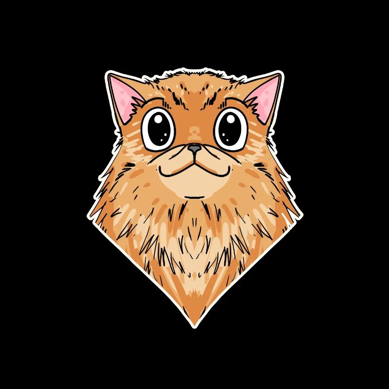 Chat persan Race de chat Chat