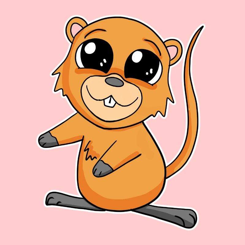 Quokka