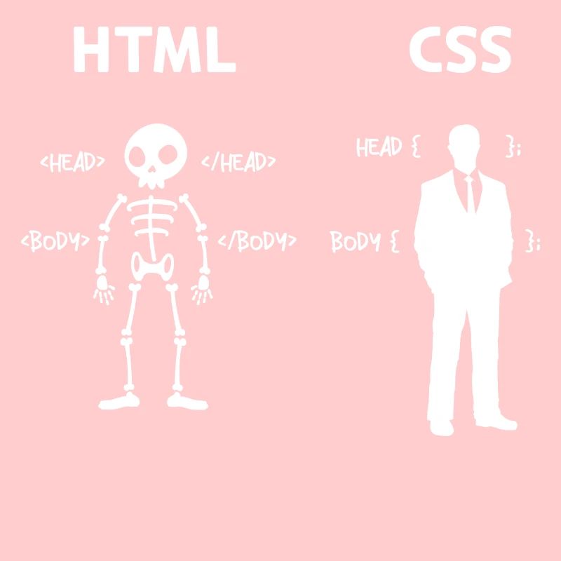 Code Css C++ Php Java Developer Code Skripting