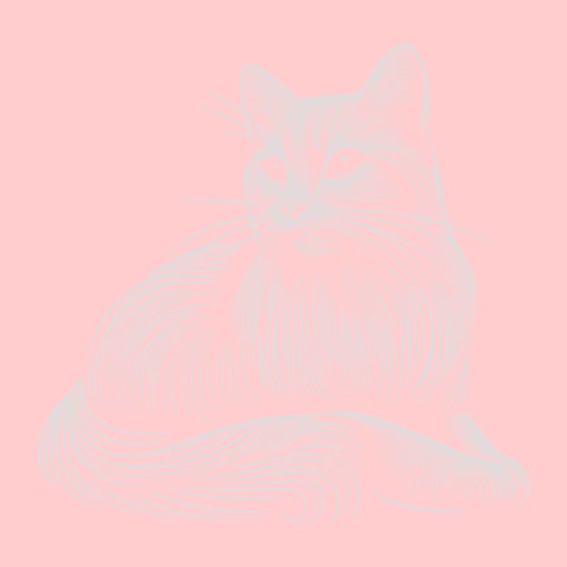 White Cat Patterns Light Strokes