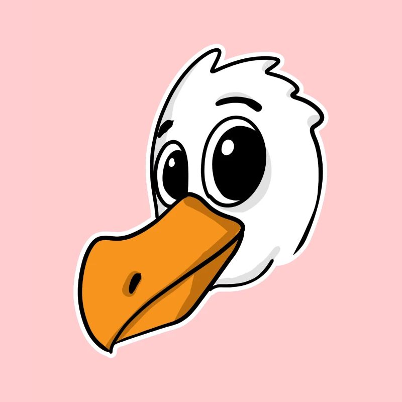 Möwe Vogel Nordsee