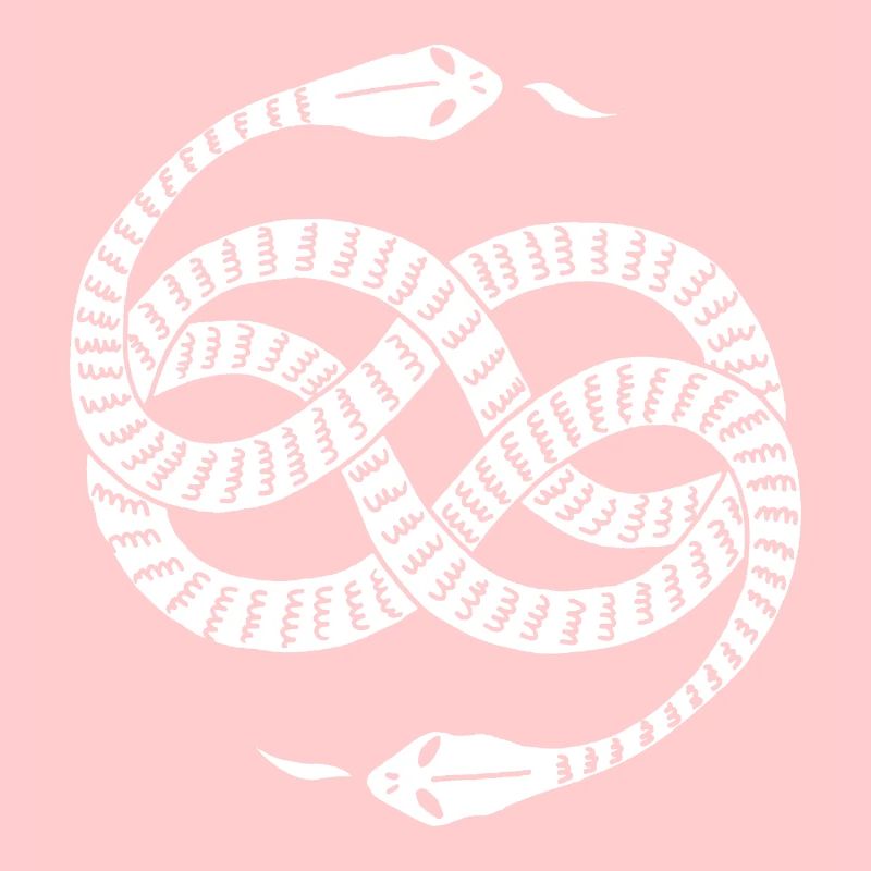Infinite White Snakes