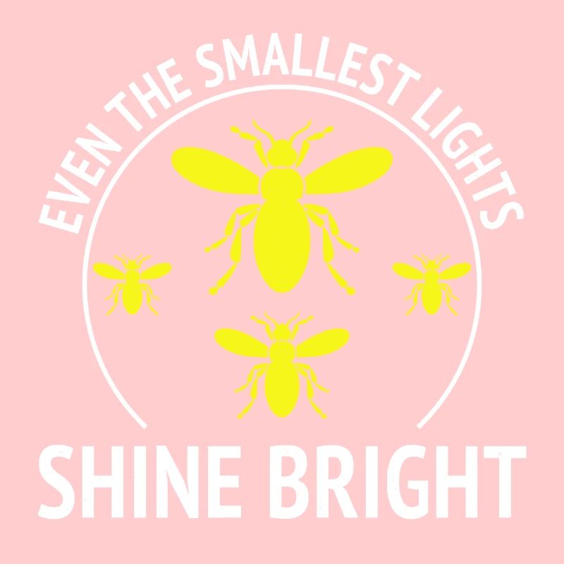 Fireflies Firefly Lightning Bug Insect Collector