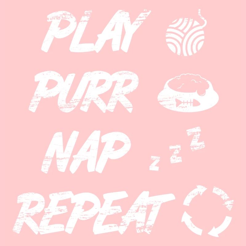 Routine quotidienne du chat