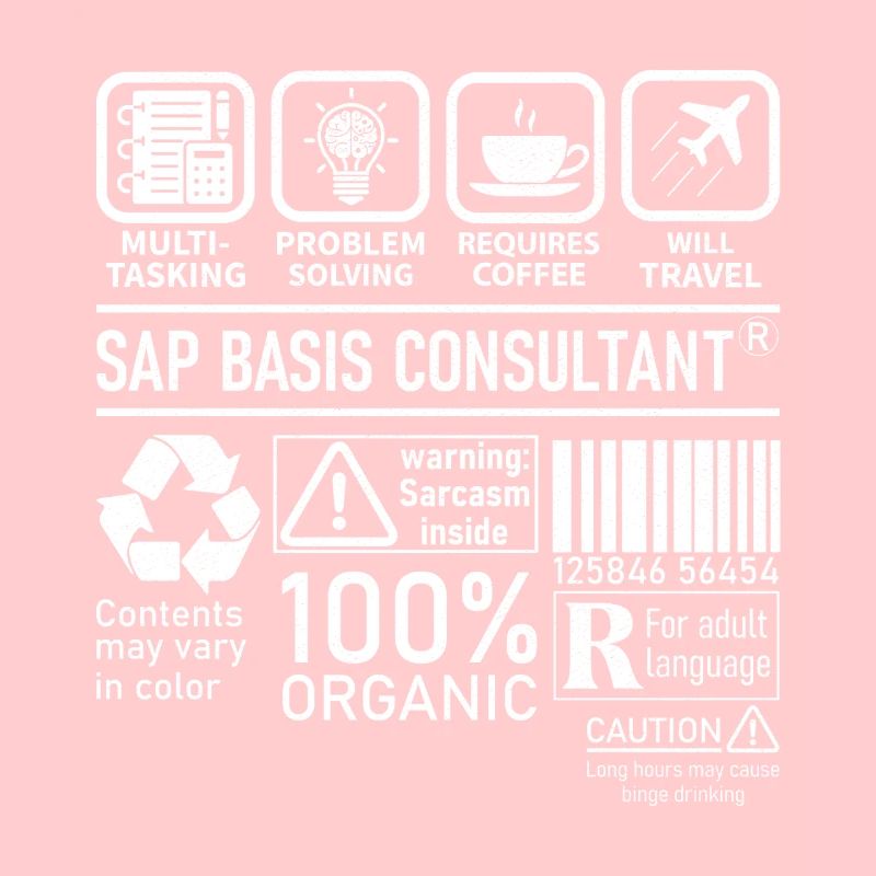 Sap Basis Consultant multi tasking problem solving