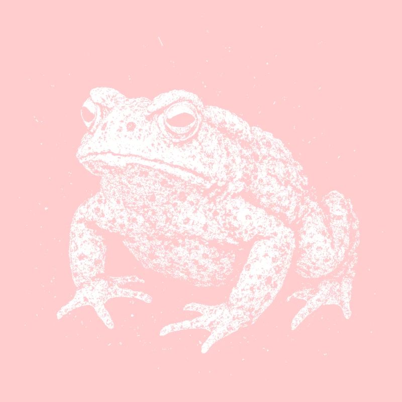 Toad