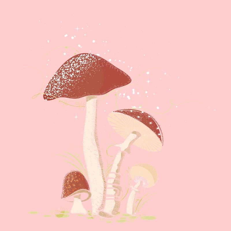 Magical toadstools in the forest illustrated