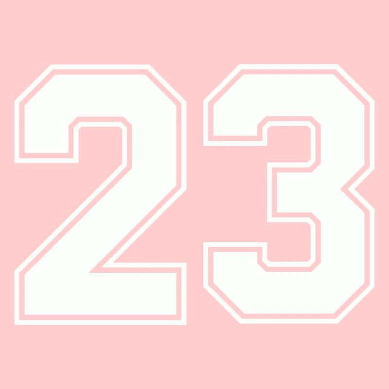 Geometric Number Design 23