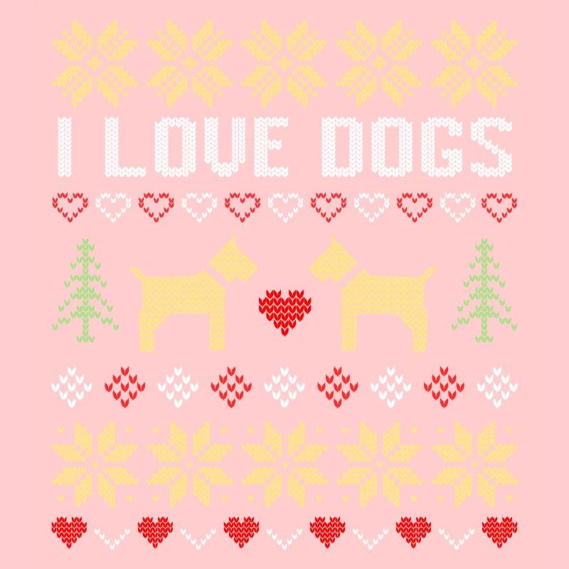 Pull de Noël moche pour chien