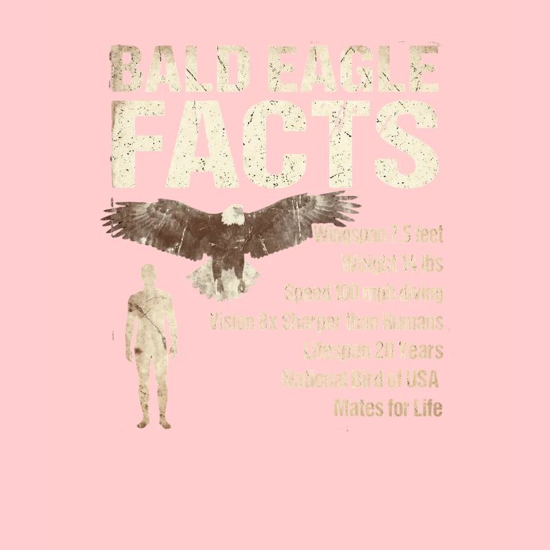 Bald Eagle Facts Bald Eagle Info