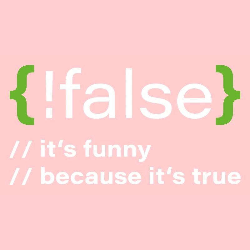 false – Funny programmer saying