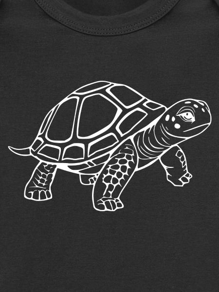 Turtle Turtles