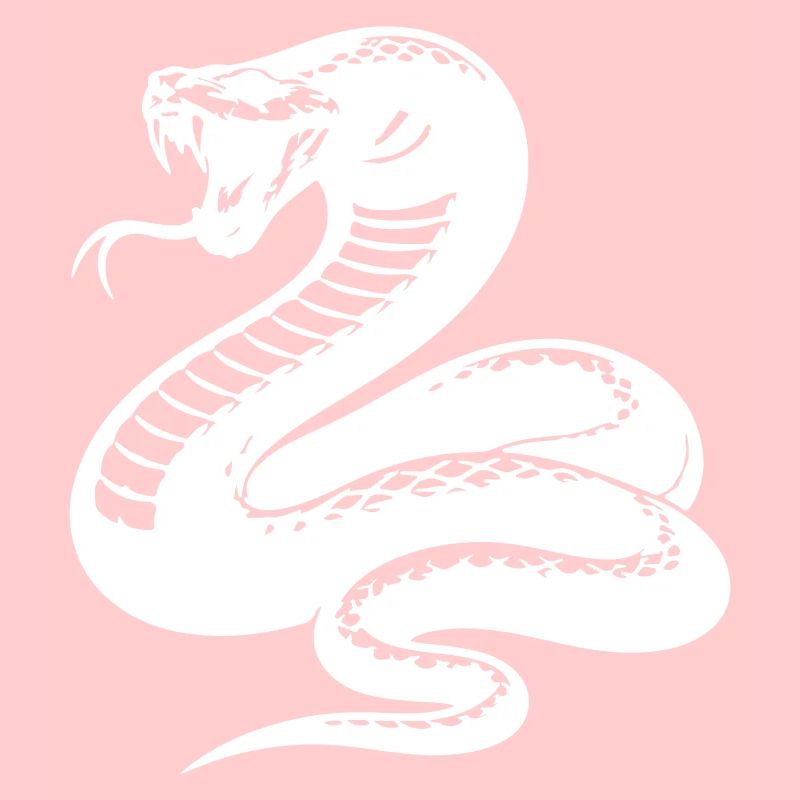 Snake Python Silhouette