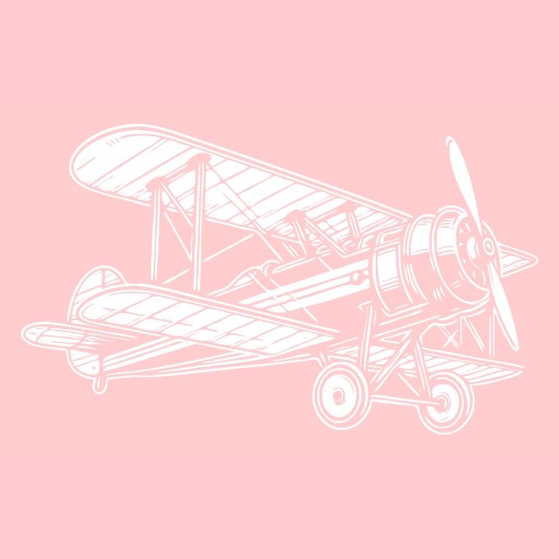 Biplane Oldtimer, conception classique d’avion