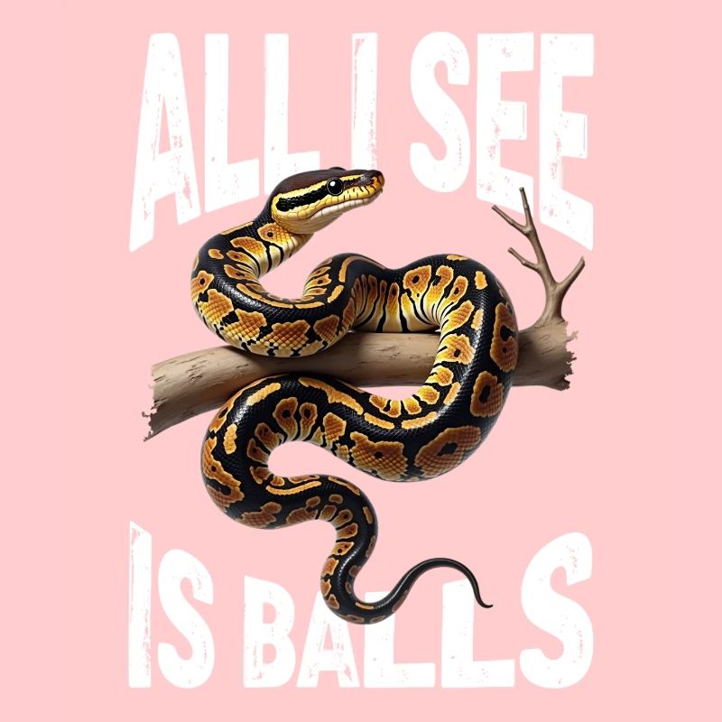 Python roi Serpents Amateurs de terrarium Python