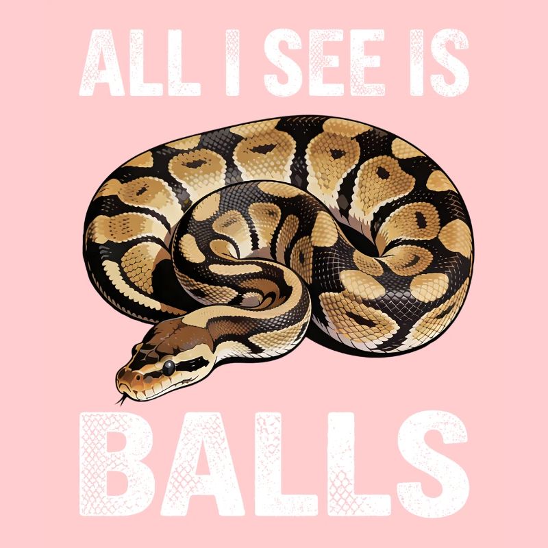 Python roi Serpents Amateurs de terrarium Python