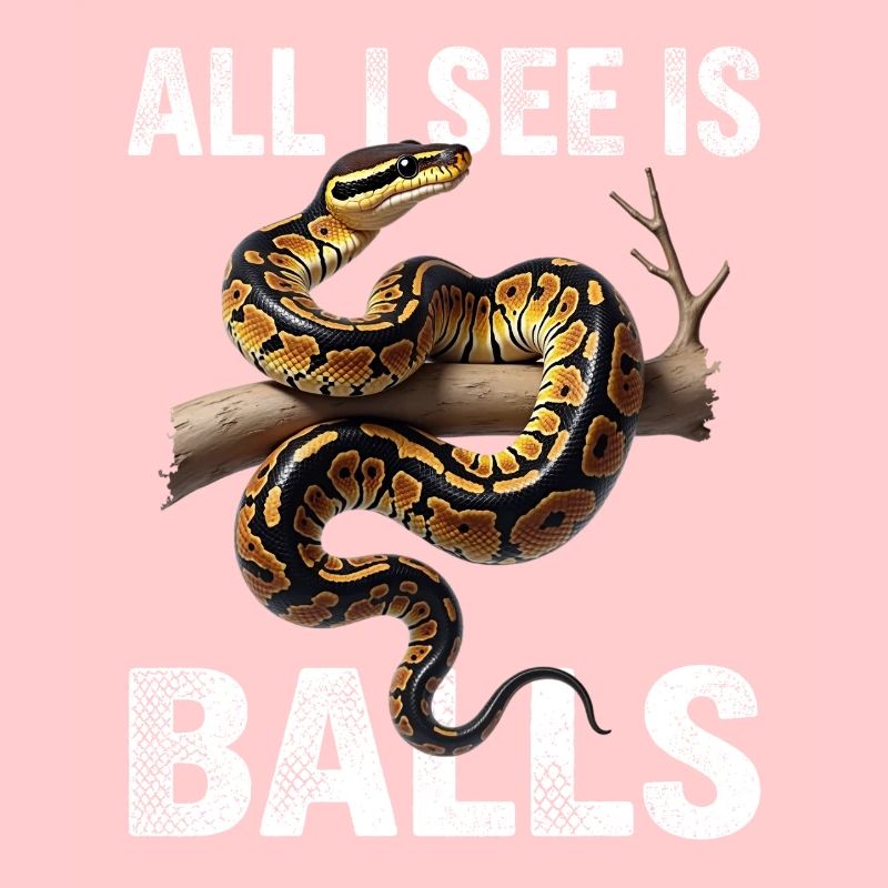 Python roi Serpents Amateurs de terrarium Python