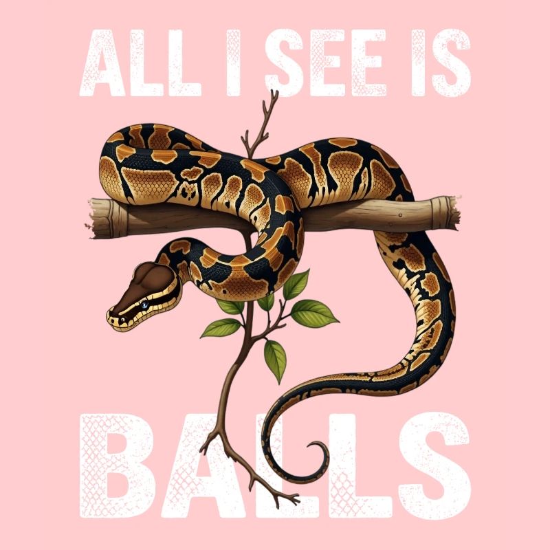 Python roi Serpents Amateurs de terrarium Python