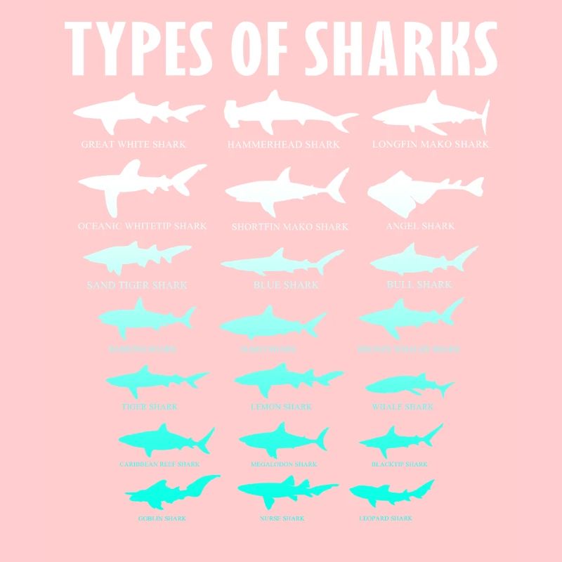 Types de requins Conception des requins d’océan | Chemise de requin