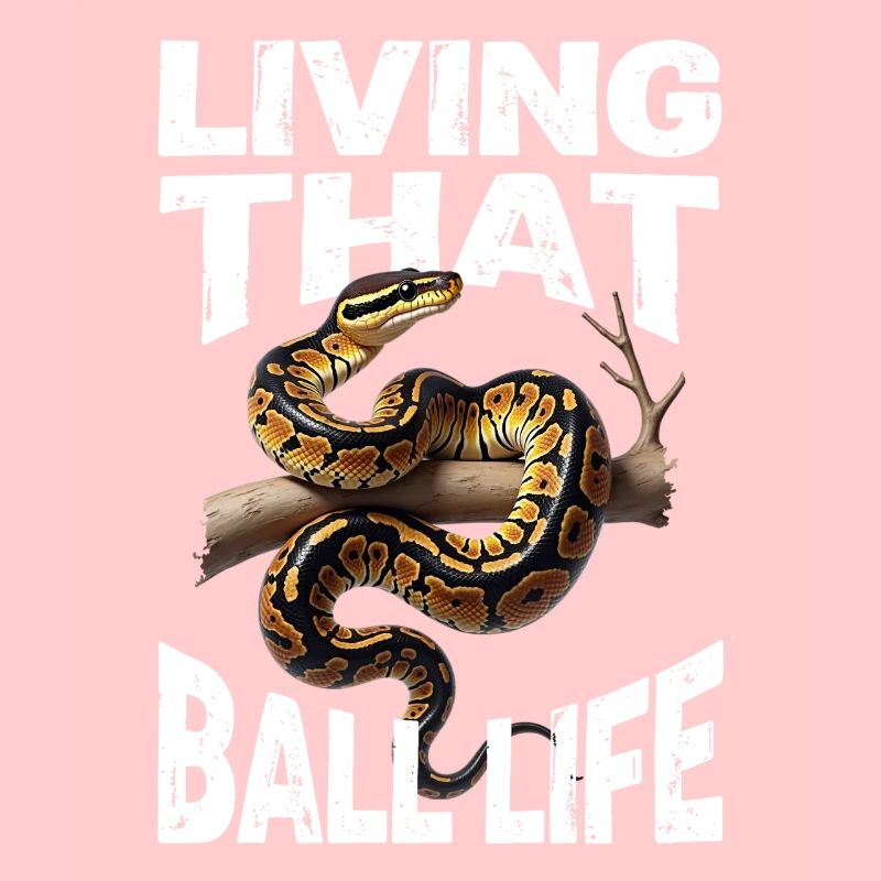 Python roi Serpents Amateurs de terrarium Python