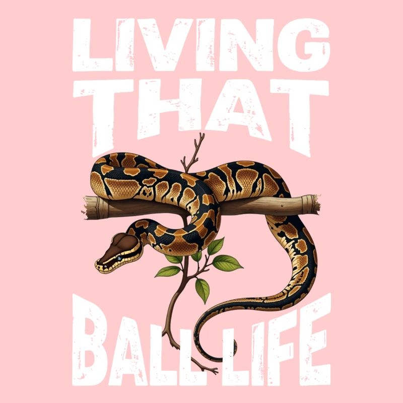 Python roi Serpents Amateurs de terrarium Python