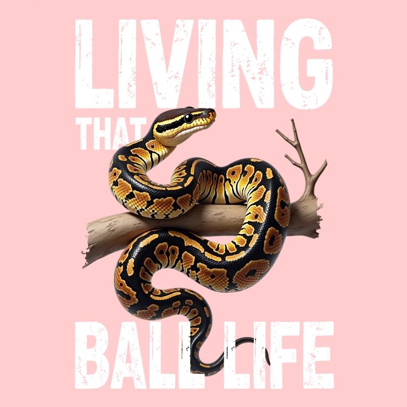 Python roi Serpents Amateurs de terrarium Python