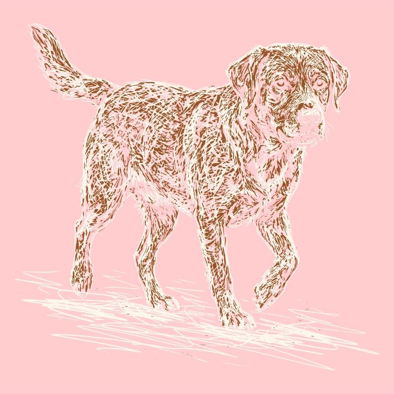 Fox Red Labrador Sketch – Dog Design