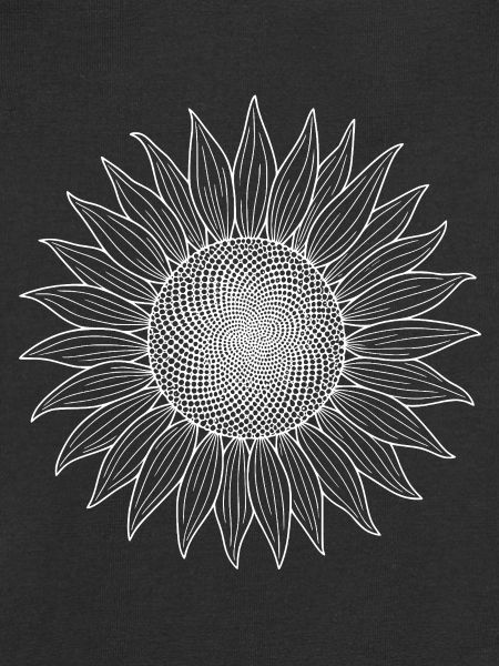 Sonnenblume