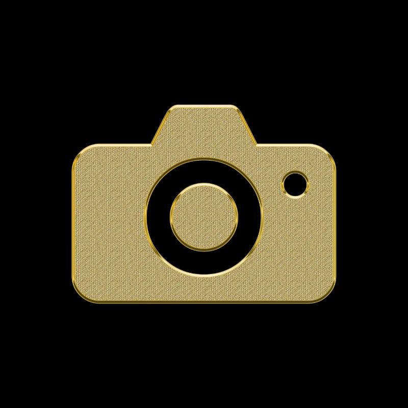 caméra d'or