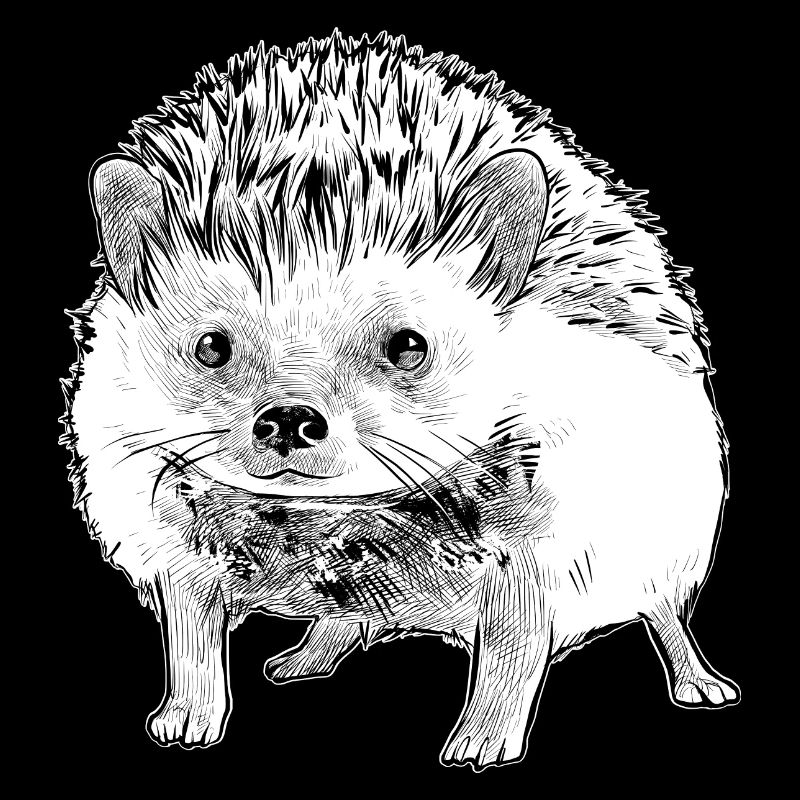 Igel Wald Tier Stacheln süß niedlich Herbst