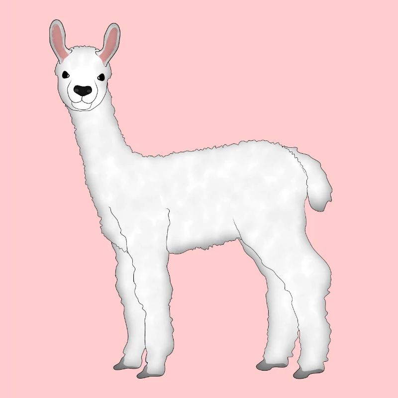 Alpaka 5