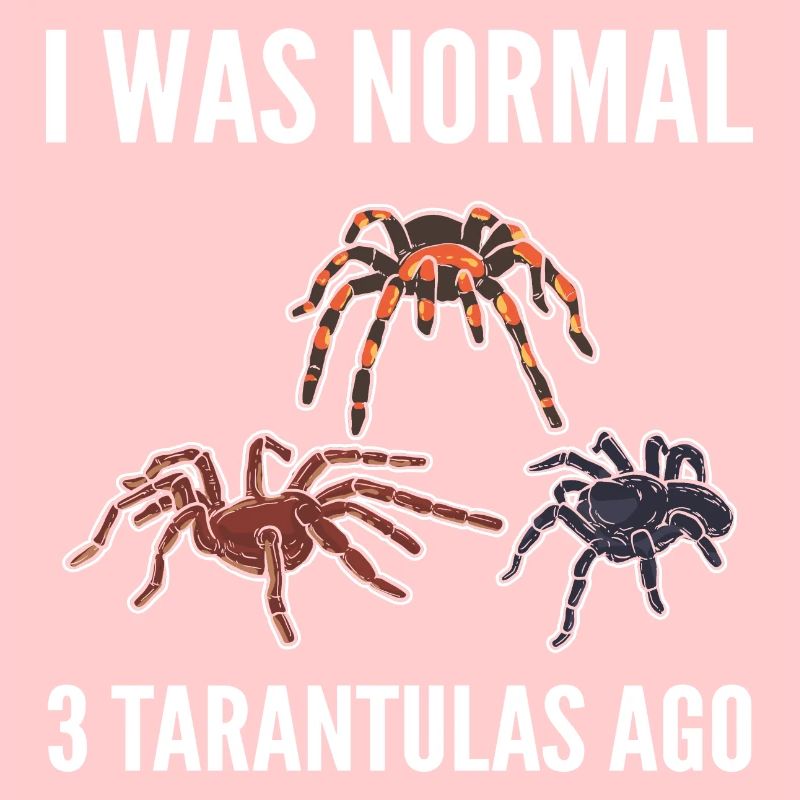 J’étais normal devant 3 amateurs d’araignées