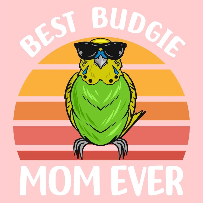 Budgerigar Pets | Birds Bird Gift Idea