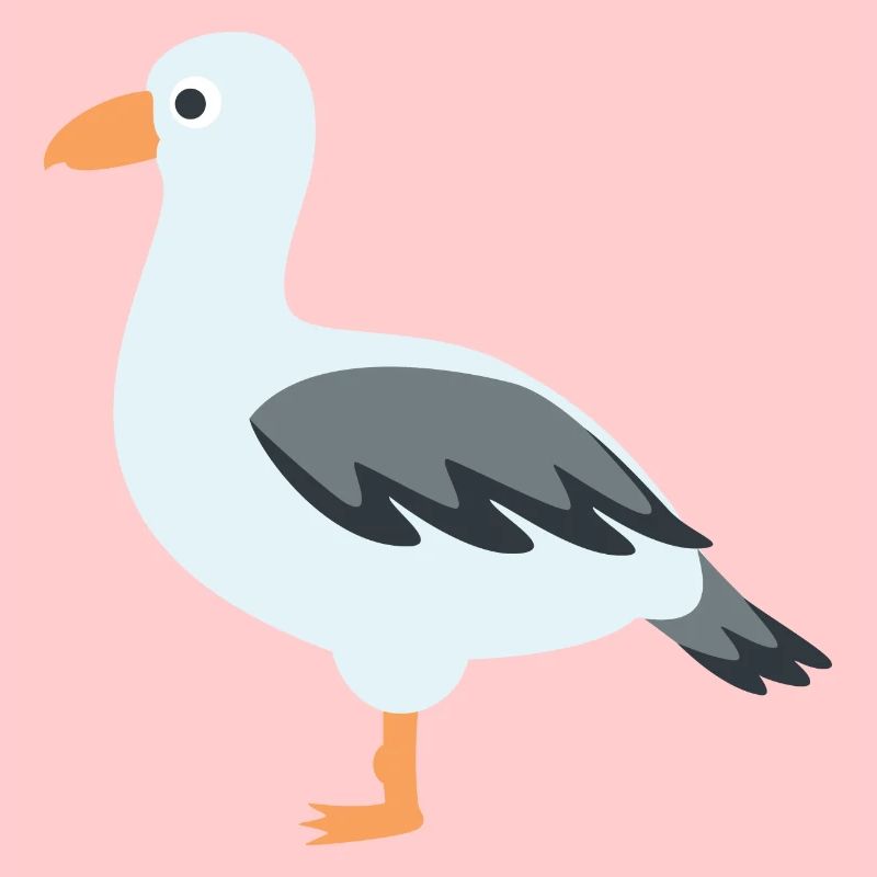 mouette