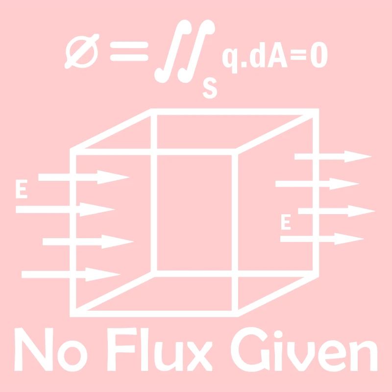 Mathématicien Math Physicien