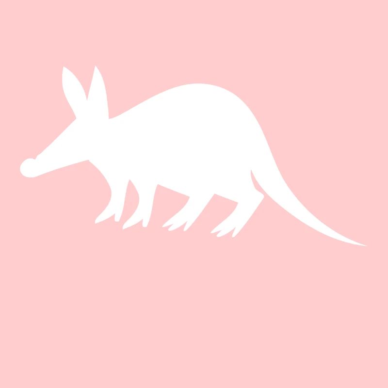 Aardvark - coati
