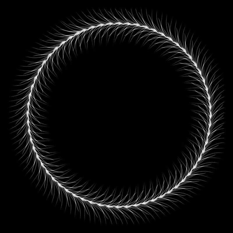 Circle - Ring - Shape - Round - Spring Ring White