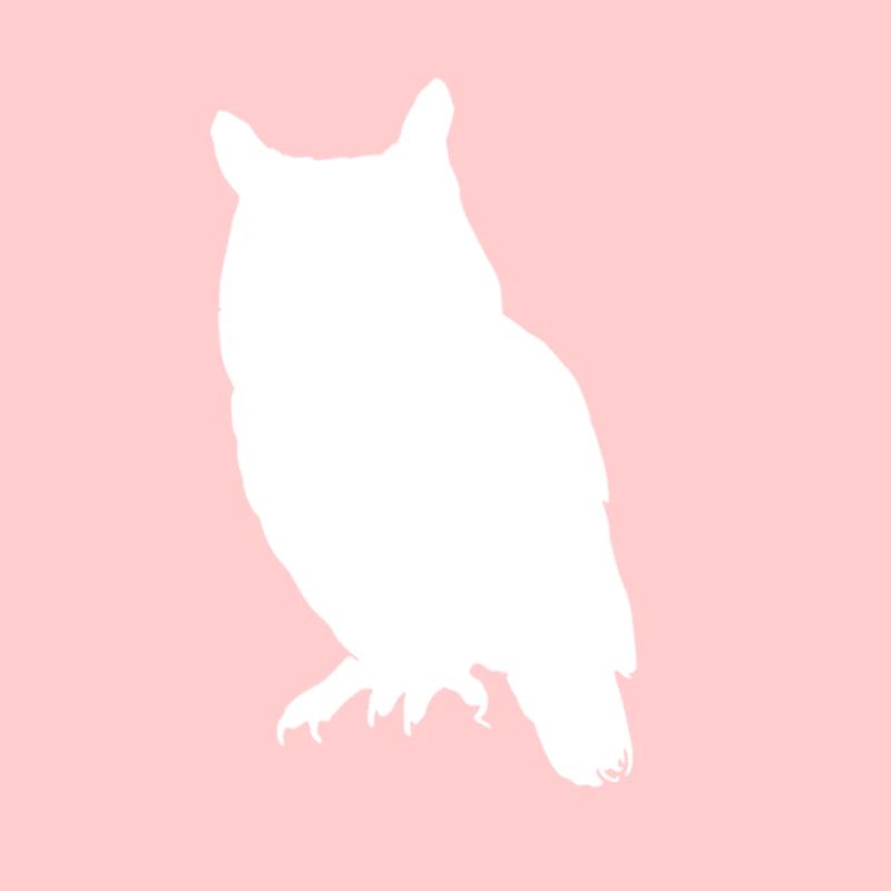 Owl Owl Gift Idea Silhouette Black White