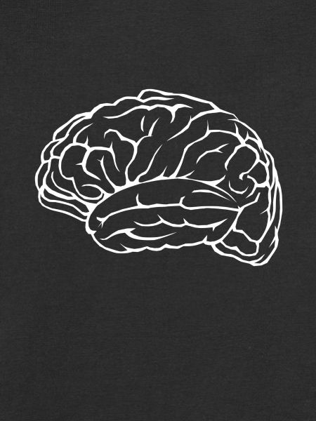 brain