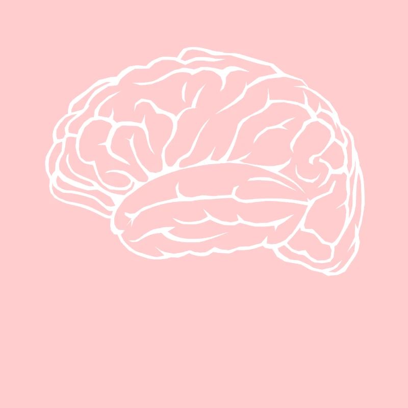 brain