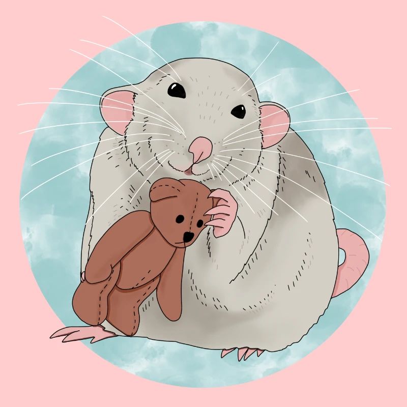 Nette Ratte mit Teddybär