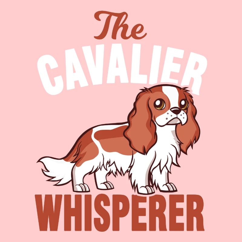 Cavalier King Charles Spaniel Hunde Flüsterer