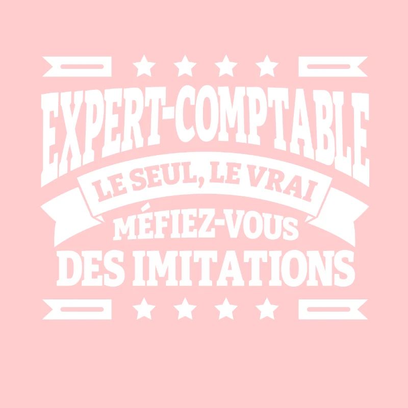 EXPERT COMPTABLE LE SEUL LE VRAI
