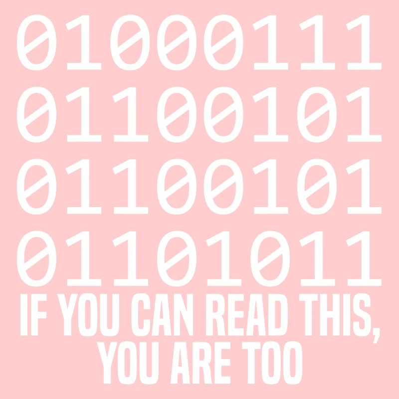 Programmer Coder Software Developer