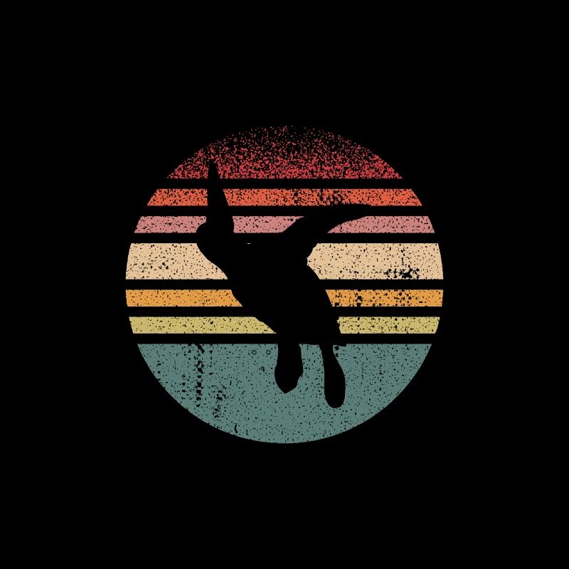 Turtle Retro Graphic
