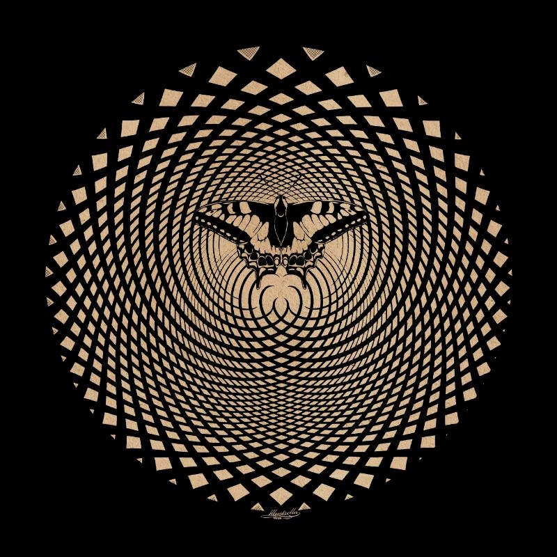 Butterfly Butterfly Effect Optical Illusion