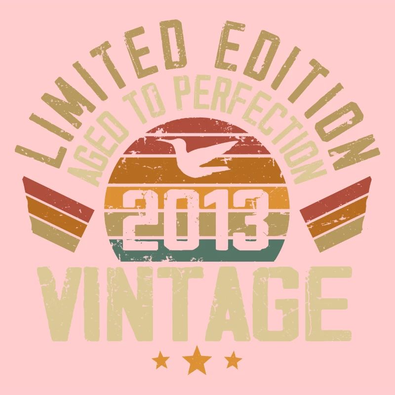 Vintage 2013 Retro Geburtstagsgeschenk 2013