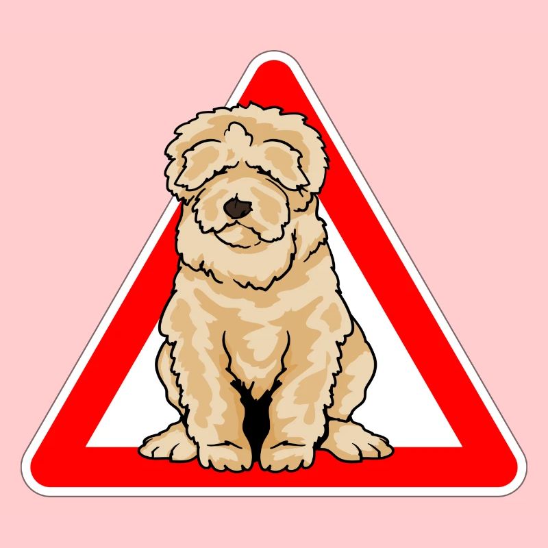 Labradoodle Goldendoodle Doodle Hund