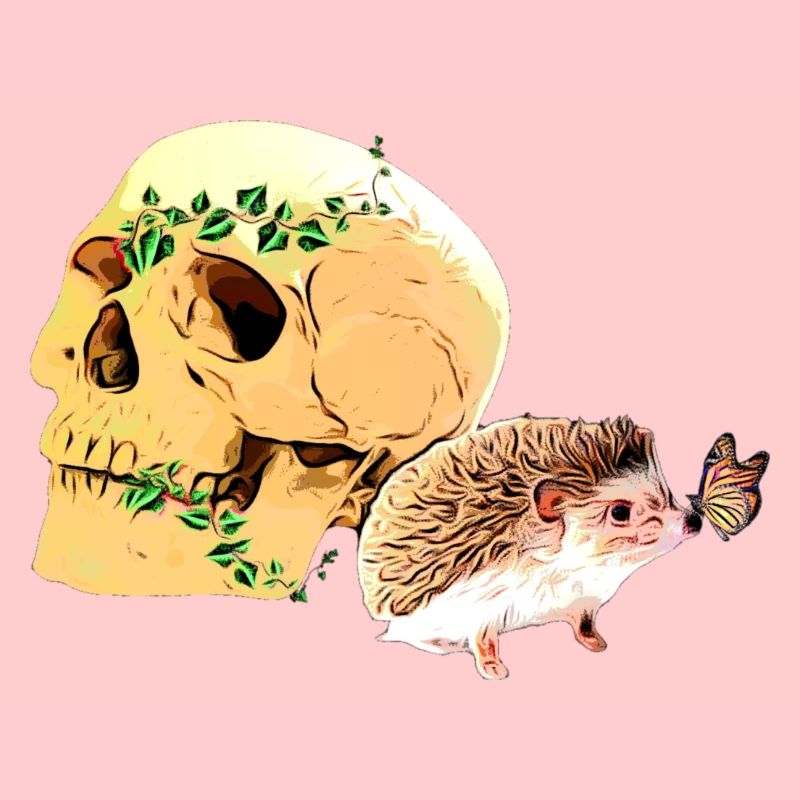 Kleiner neugieriger Igel