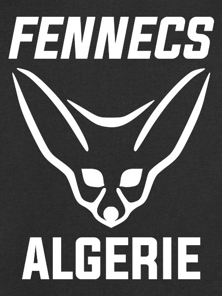 Die Fennecs